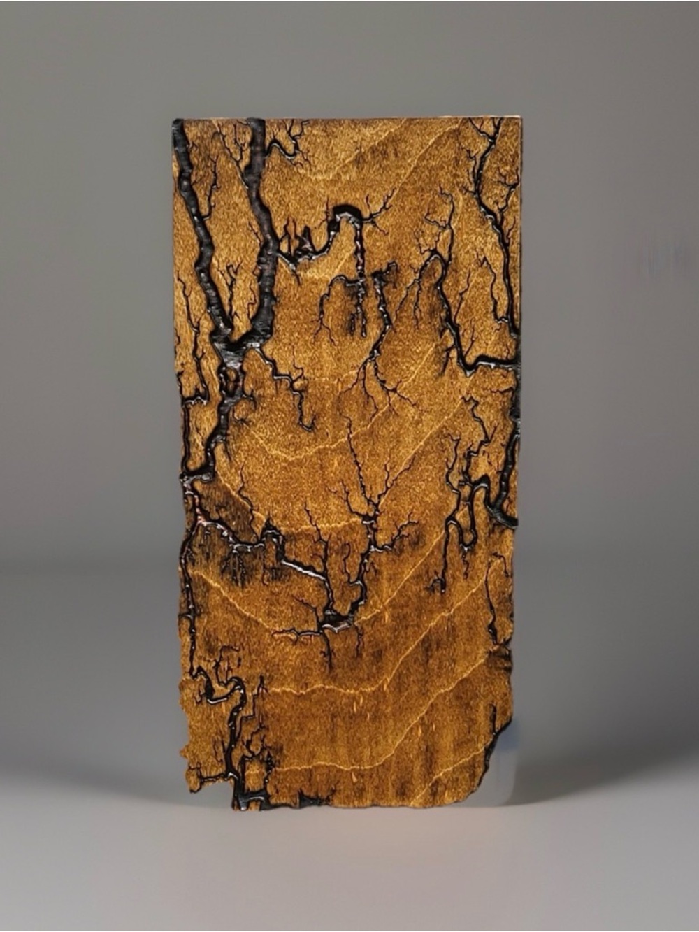 Unique Fractal Burned Birch Wall Art - Lichtenberg Figure - One of a Kind